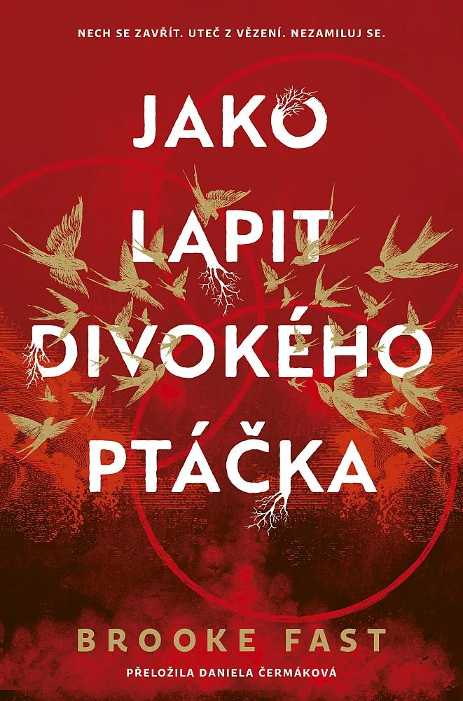 Obálka knihy Jako lapit divokého ptáčka od Brooke Fast 